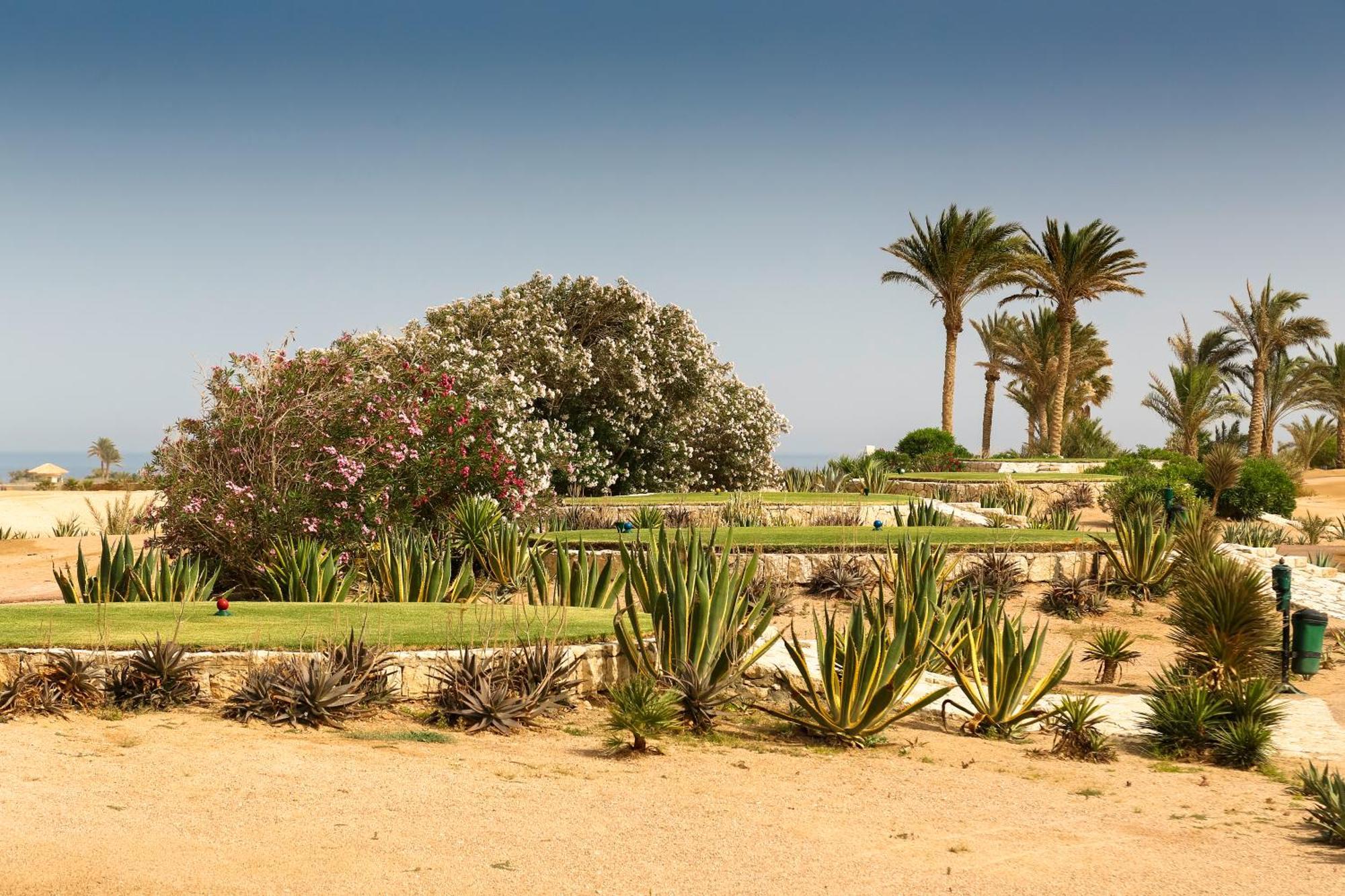 Robinson Soma Bay Hotel Hurghada Exterior photo